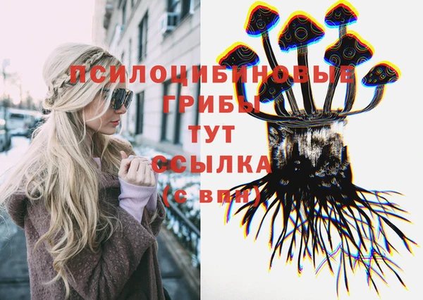 spice Коряжма